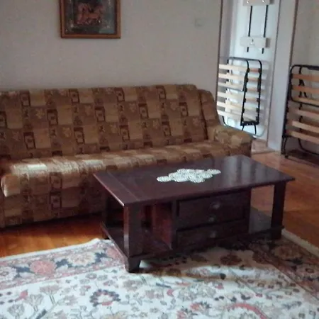Casa Ioana Pansiyon *