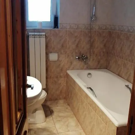 Pansiyon Casa Ioana *
